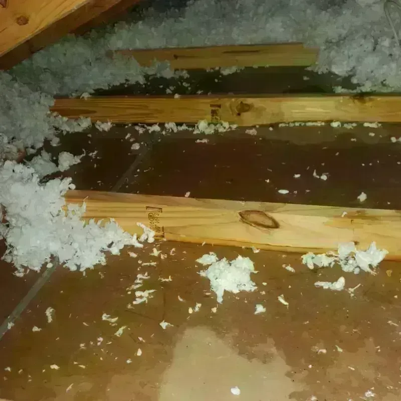 Attic Water Damage in Rosedale, MS